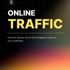 Online Traffic